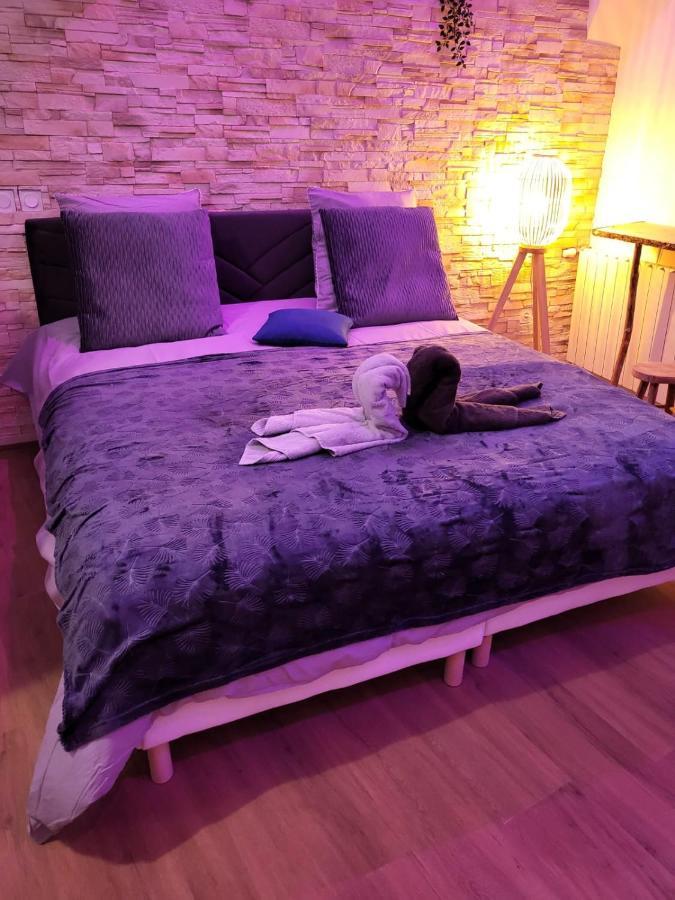 Le Spa De La Cathedrale - Jacuzzi - Sauna - Champagne - Netflix - Wifi Труа Экстерьер фото