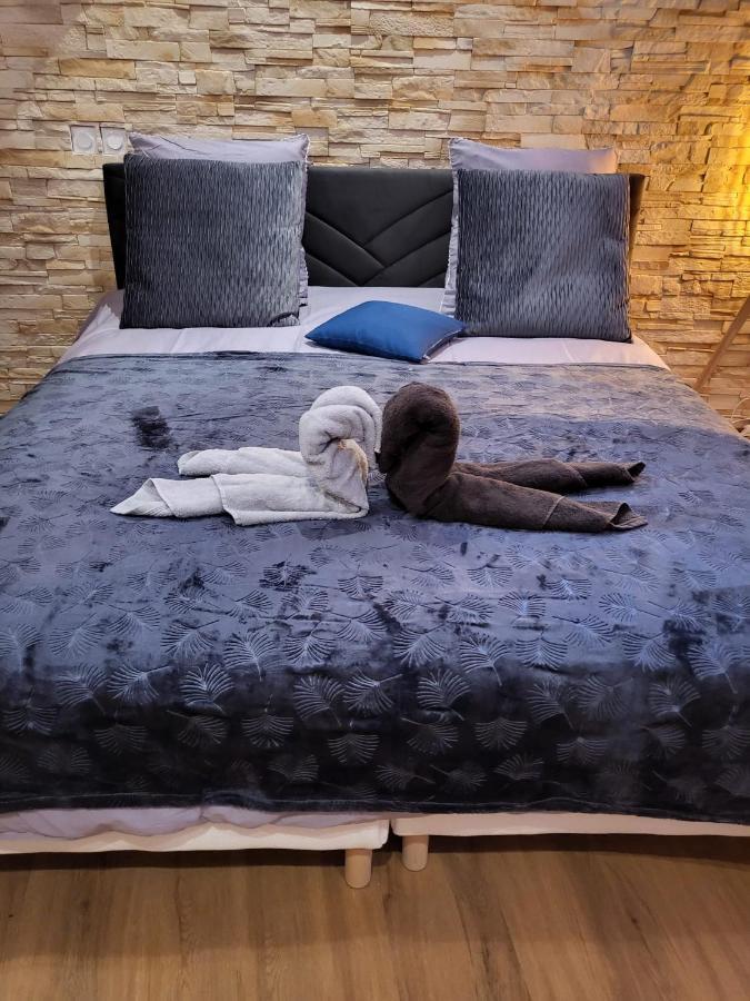 Le Spa De La Cathedrale - Jacuzzi - Sauna - Champagne - Netflix - Wifi Труа Экстерьер фото