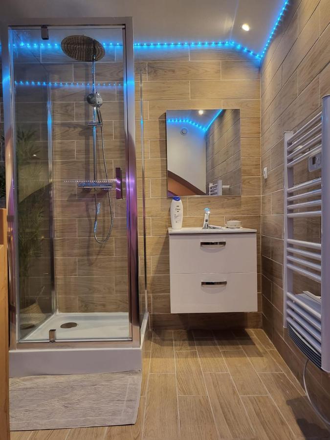 Le Spa De La Cathedrale - Jacuzzi - Sauna - Champagne - Netflix - Wifi Труа Экстерьер фото
